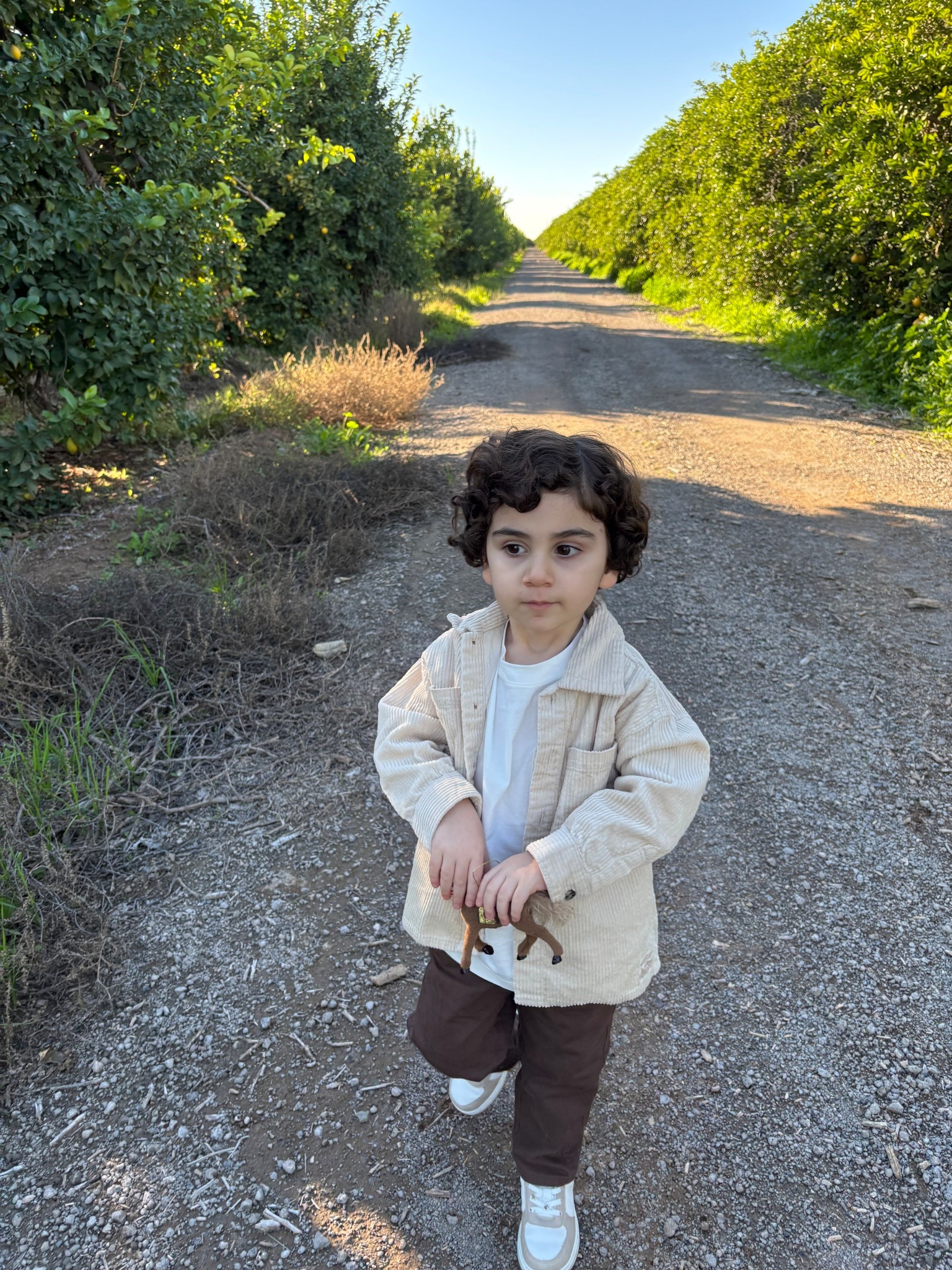 Toddler boy outfit for family photos!🤎🤍 

#toddlerstyle #toddleroutfits #toddlers #toddlerboy #toddlerholidayoutfit #hmkids #hmfinds #toddleroutfitideas #toddlershoes #kidsoutfits #babyboy #hmsale #familyphotos 

#LTKBaby #LTKKids #LTKSaleAlert