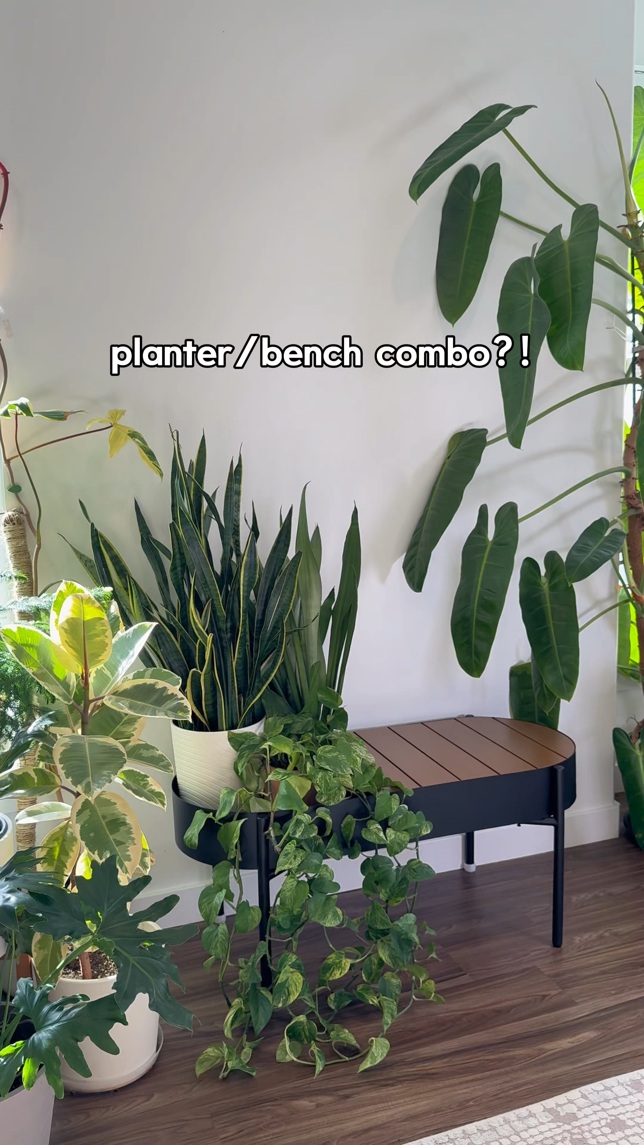 Planter/bench combo! Obsessed 🌿

#LTKHome #LTKU