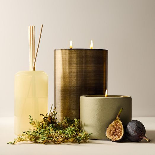 Terra Homescent Collection - Cedarwood Grove | West Elm (US)