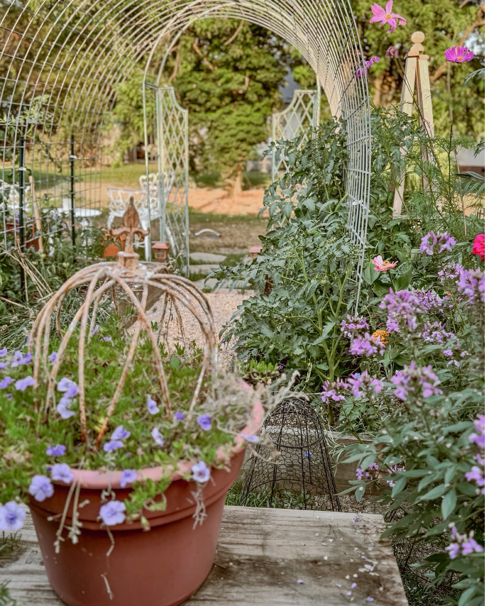 Cottage garden views. 😍

#LTKHome #LTKSummerSales #LTKSeasonal