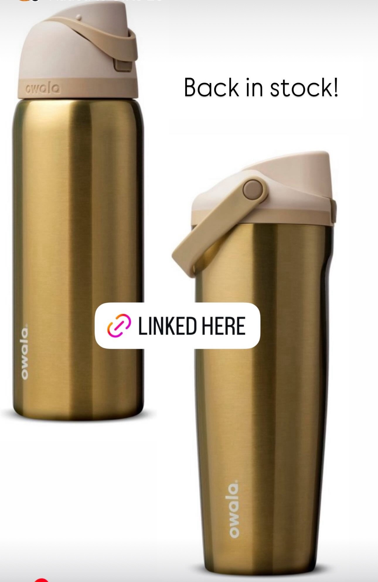 True autumn, dark autumn, soft autumn, hocautumn, Owala, water bottle 

#LTKTravel #LTKGiftGuide #LTKFindsUnder50