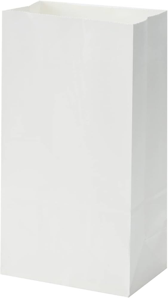40 Count White Grocery Lunch Bag Kraft Paper Bags 4 lb Capacity | Amazon (US)