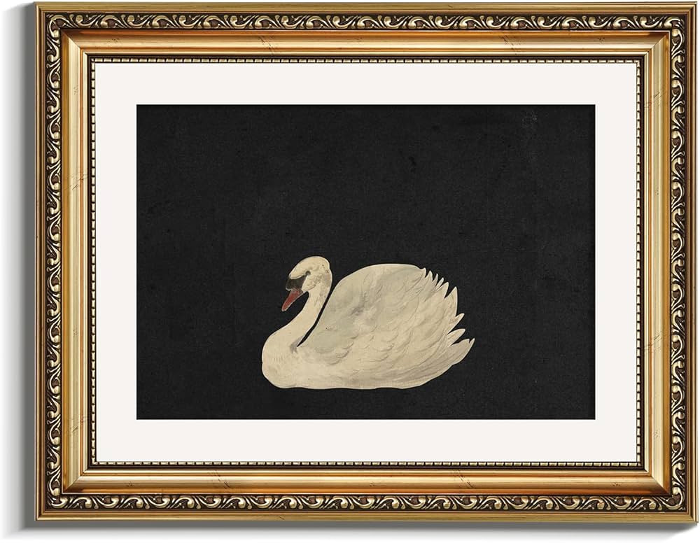 VIYYIEA Gold Framed Wall Art Canvas Print Home Decor Vintage Swan Decoration Grace Swan Art Paint... | Amazon (US)