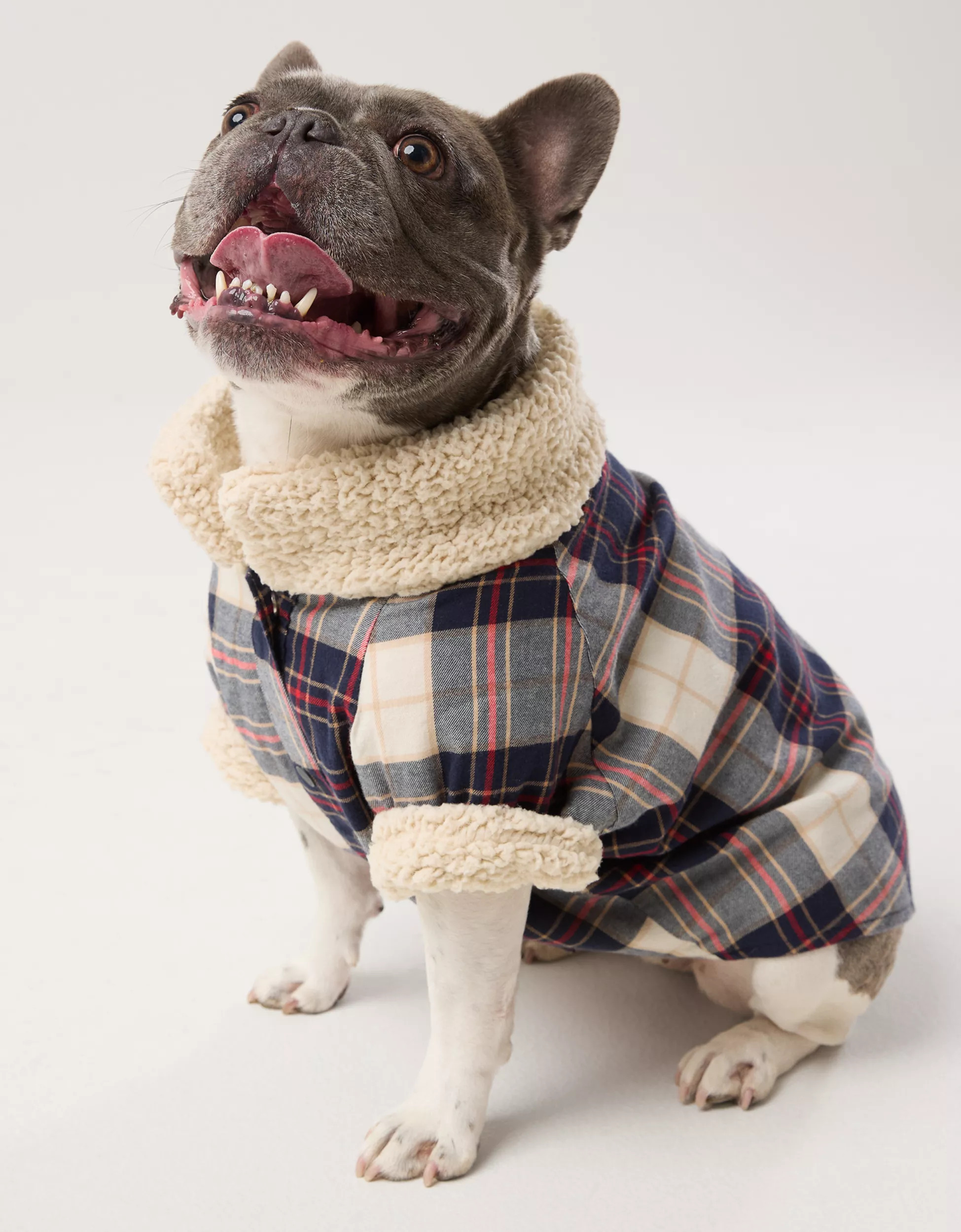 OFFLEASH By Aerie Flannel Dog Shirt | Aerie
