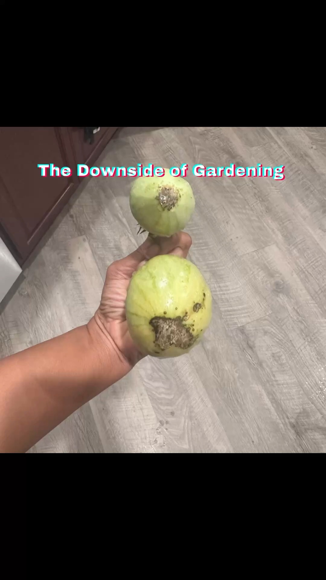 When things don’t go as expected in gardening. My Mortgage Lifter tomatoes had Blossom End Rot. Now I know it’s deficient in calcium and by adding it and cutting these the next ones that grow will be fine. It’s all a learning process 🌱🍅

You can used crushed eggshells but I’d rather a liquid fertilizer. 

#heirloomtomatoes #gardenlife #gardening #gardenknowledge #growyourownfood

#LTKHome #LTKSeasonal