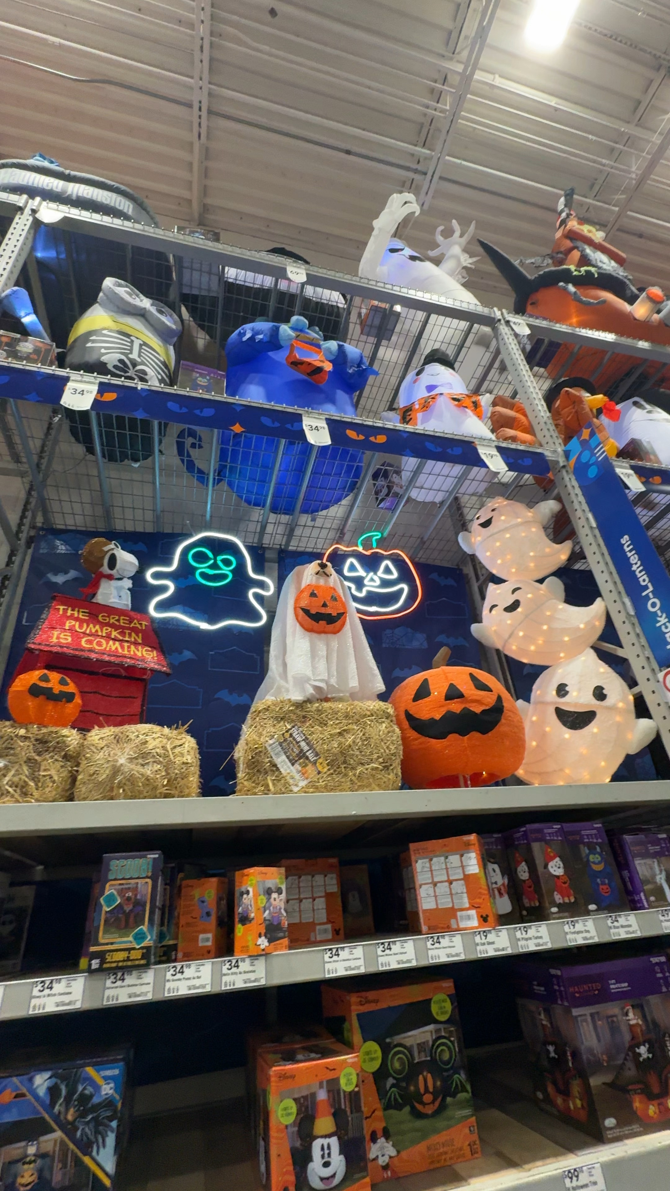 Look how cute he is! The cutest little puppy ghost at Lowe’s! 

#LTKSeasonal #LTKFallSale #LTKHome