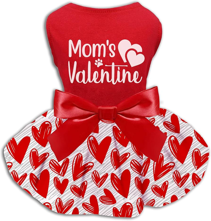 Valentine Dog Cat Dress, Holiday Mom's Valentine Heart Dress Outfits Skirt for Small Boys and Gir... | Amazon (US)
