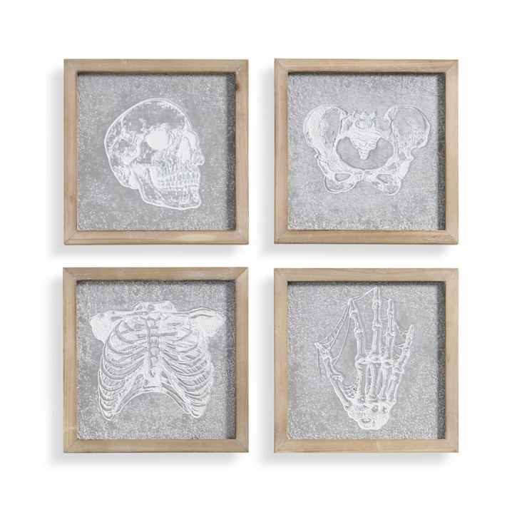 Fossil Skeleton Wall Decor, Set of Four | Grandin Road | Grandin Road