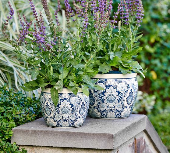 Kravet Arboretum Cachepots | Pottery Barn (US)