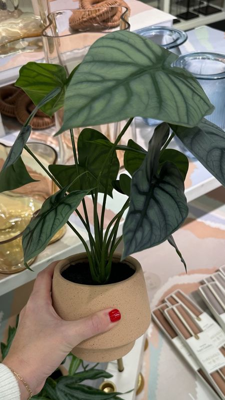 So many of the cutest faux potted plants at Target! 🪴

#LTKstyletip #LTKhome #LTKfindsunder50