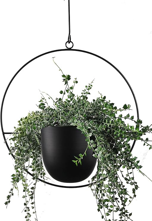 Hanging Planter for Indoor Outdoor Plants Metal Mid Century Minimalist Wall Ceiling Plant Hanger ... | Amazon (US)