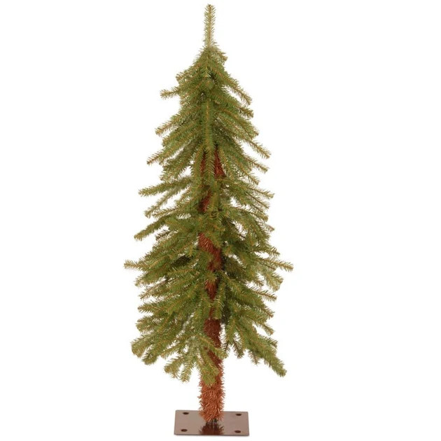 3' Hickory Cedar Tree | Riverbend Home