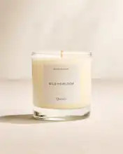 Wild Heirloom Candle | Quince