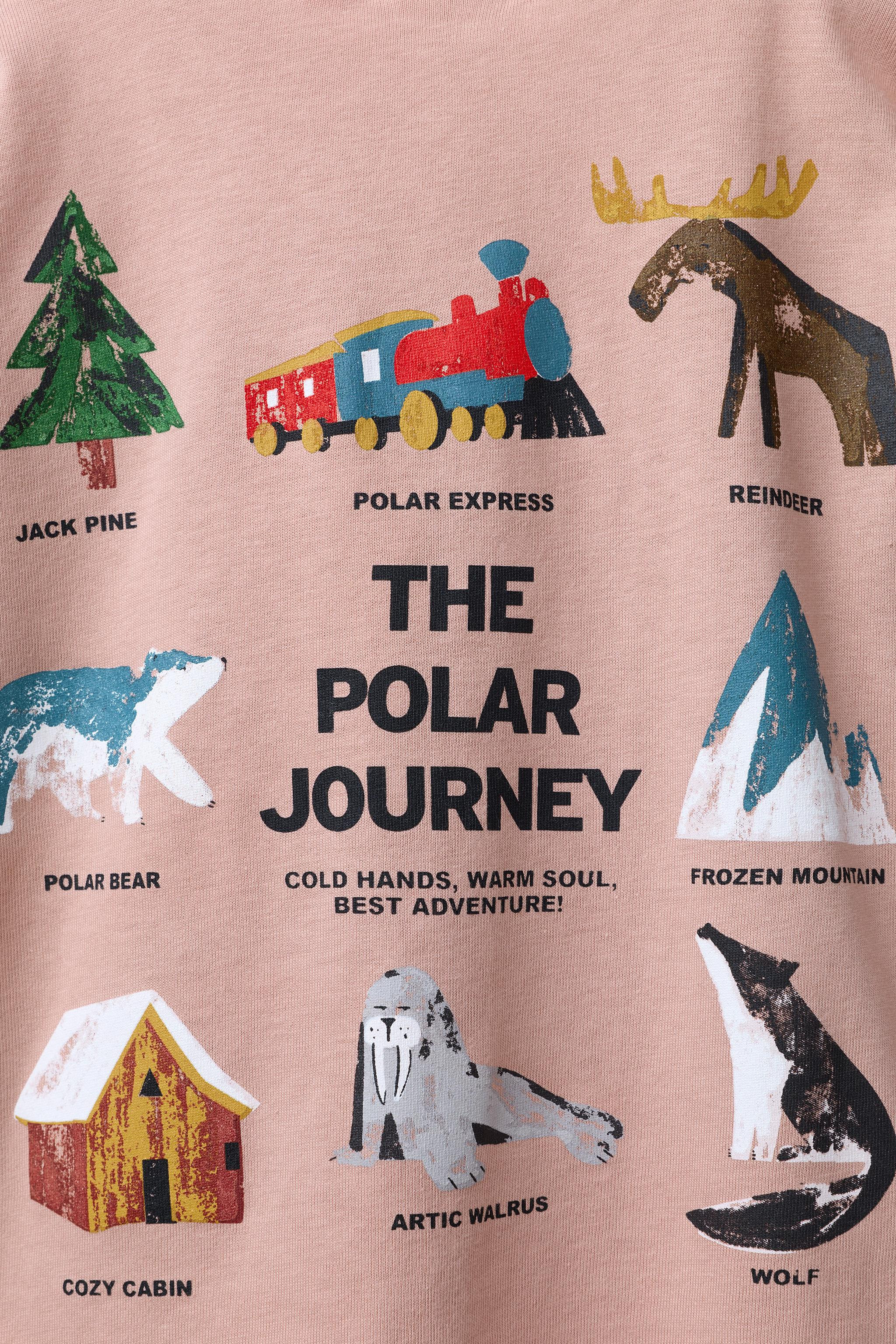 T-SHIRT MIT BERGPRINT | Zara DE