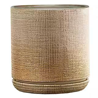 Southern Patio Sherry 6 in. x 6 in. Gold Ceramic Indoor Pot CRM-057727 - The Home Depot | The Home Depot