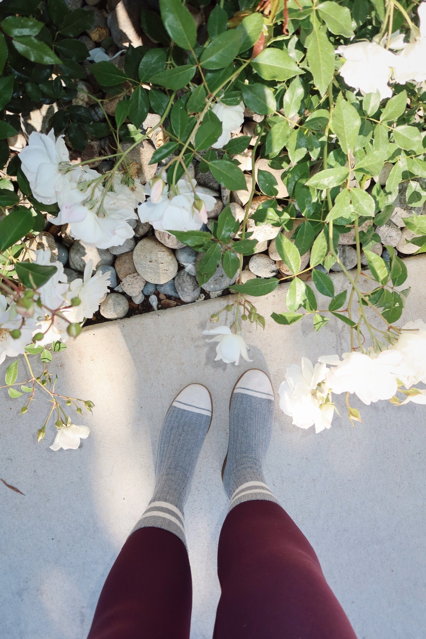 sock shoes 
+ spanx 

#LTKmorningroutine #LTKTravel