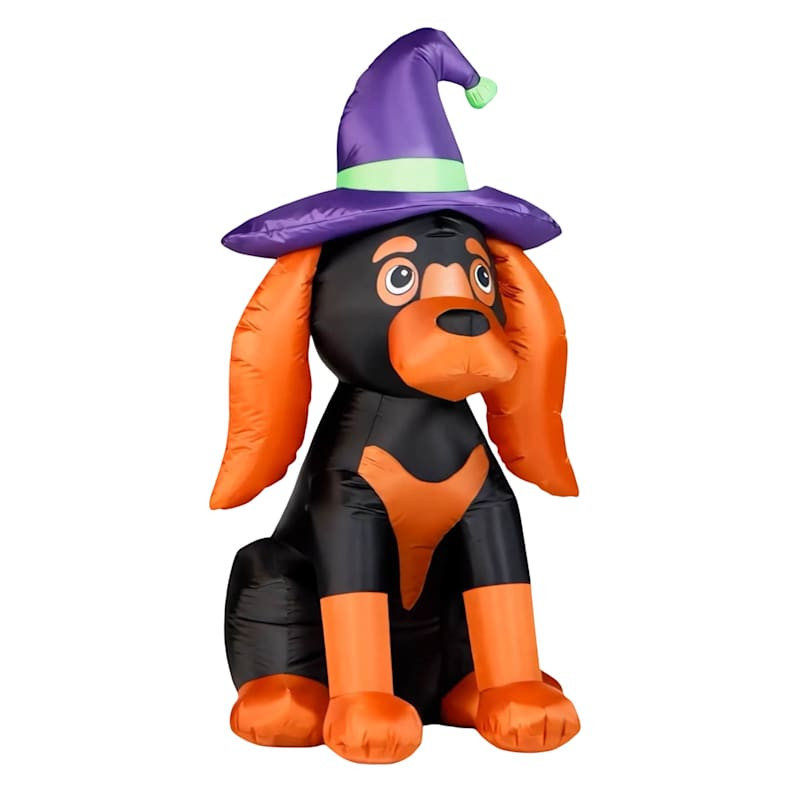 Inflatable Witch Dachshund, 4' | At Home