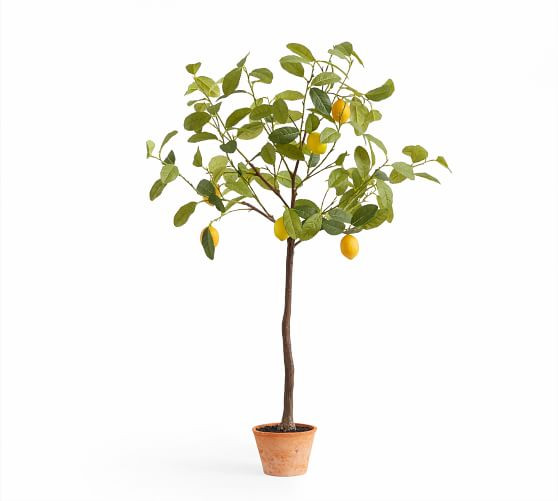 Faux Potted Lemon Tree | Pottery Barn (US)