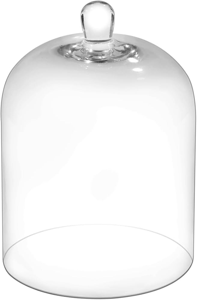 10.6" Tall Large Handmade Sturdy Glass Cloche, Dia 7.48" H 10.6", For Terrarium, Plants, Trinkets... | Amazon (US)