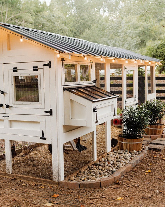 Meet the coop that changed the game for our backyard flock 🐥✨ This is the American Coop by Carolina Coops in the 6x18 size — roomy, predator-proof, and honestly… just plain cute chicken luxury. We added a predator apron, added a custom white paint stain finish, and a little bit of landscaping with an herb garden! 🌱

If you’re dreaming of chickens or already planning your setup, this is the coop we’d choose again and again.  

#porcheandco #ltkhome #ltkchickens #carolinacoops #backyardchickens #chickencoopstyle #farmhouseliving #homesteadstyle #modernfarmhouse

#LTKHome #LTKPets #LTKFamily