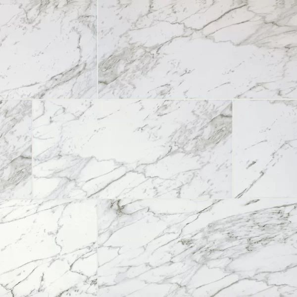 Carrara 12" x 24" Porcelain Stone Look Wall & Floor Tile | Wayfair North America