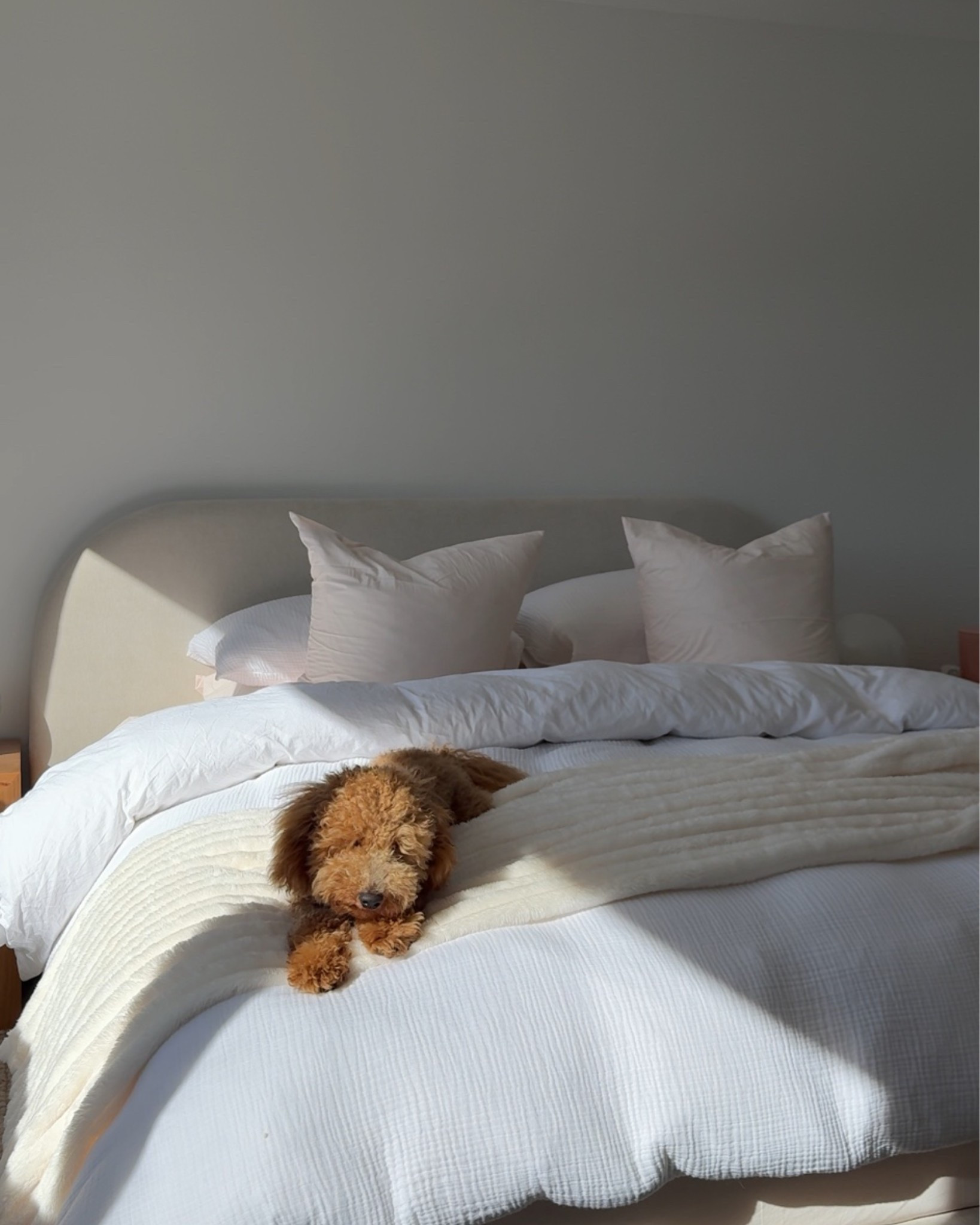 my doona link!! (Linked in different sizes, mine is super king on king bed)