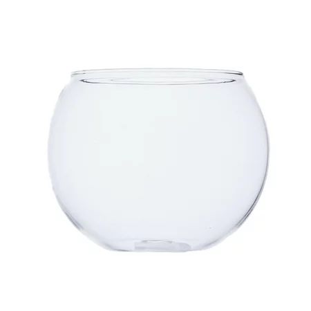 Round Clear Glass Flower Vase Sphere Fish Tank Bowl Air Planter DIY Micro Landscape Terrarium Holder | Walmart (US)