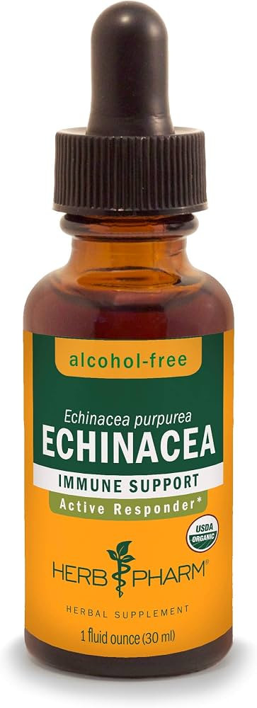Herb Pharm Certified Organic Echinacea Root Liquid Extract for Immune System Support, Alcohol-Fre... | Amazon (US)