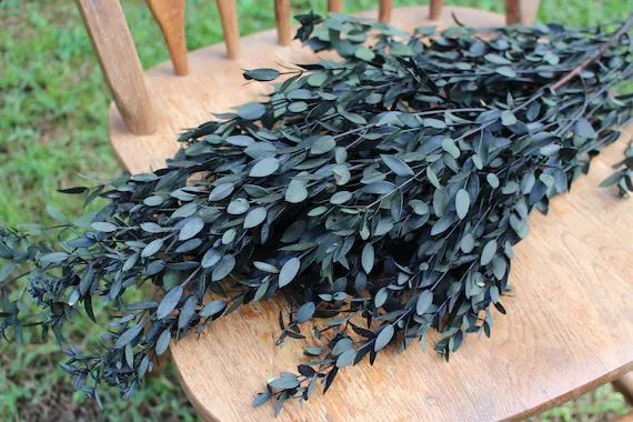 Eucalyptus: Real Preserved Dark Green Teardrop Eucalyptus | Etsy | Etsy (US)