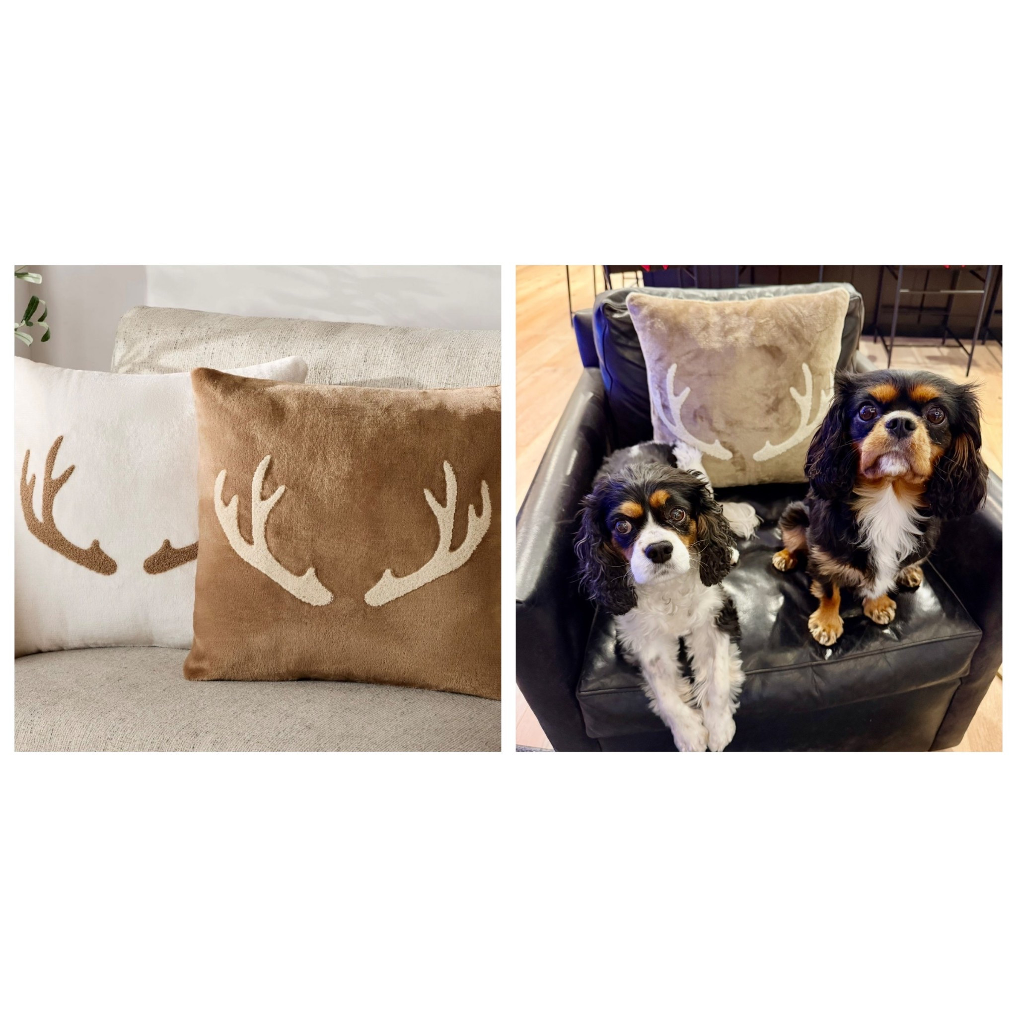 This adorable pillow is still in stock and perfect for a cozy winter look and it’s under $13!🤍🤎

#LTKGiftGuide #LTKHome #LTKHoliday