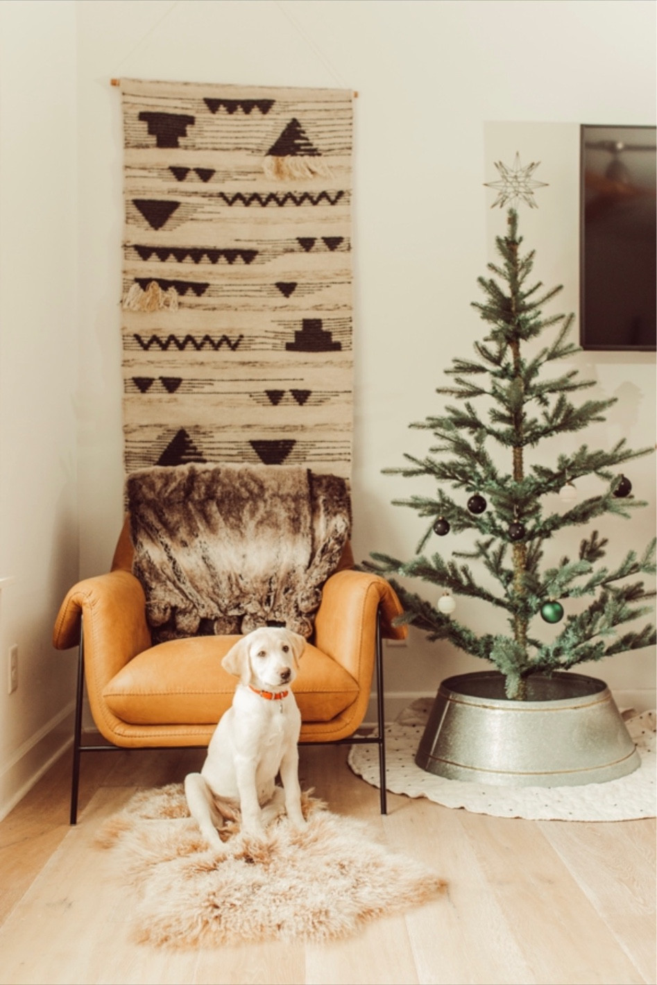 Arhaus Christmas decor! 🎄🎄

#LTKFamily #LTKHome #LTKHoliday