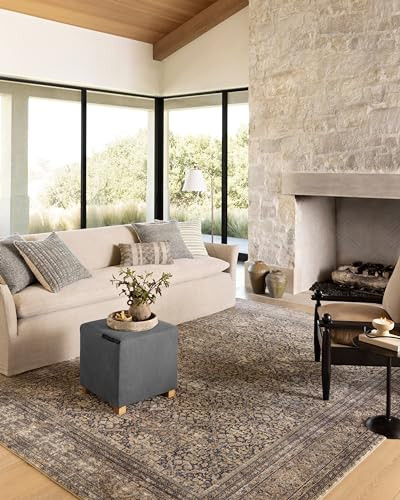 Loloi Amber Lewis Morgan Denim/Multi 11'-6" x 18' Area Rug | Amazon (US)