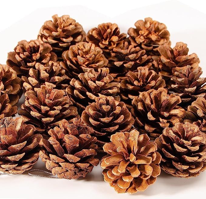 ZYP Natural Pine Cones Christmas Rustic Pine Cones Bulk Ornaments with String for Xmas Thanksgivi... | Amazon (US)
