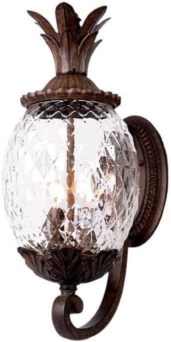 Acclaim 7511BC Lanai Collection 3-Light Wall Mount Outdoor Light Fixture, Black Coral | Amazon (US)