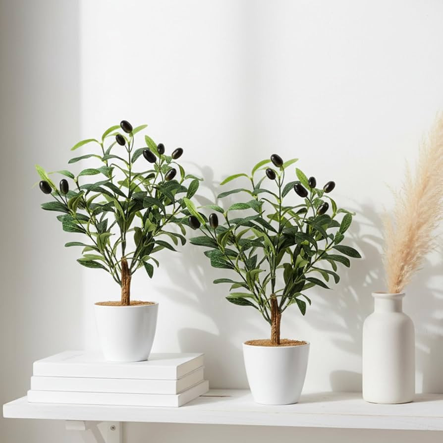 Giegxin 2 Pack 15.8 Inch Small Artificial Olive Tree Indoor 40cm Faux Olive Plant with White Pot ... | Amazon (US)