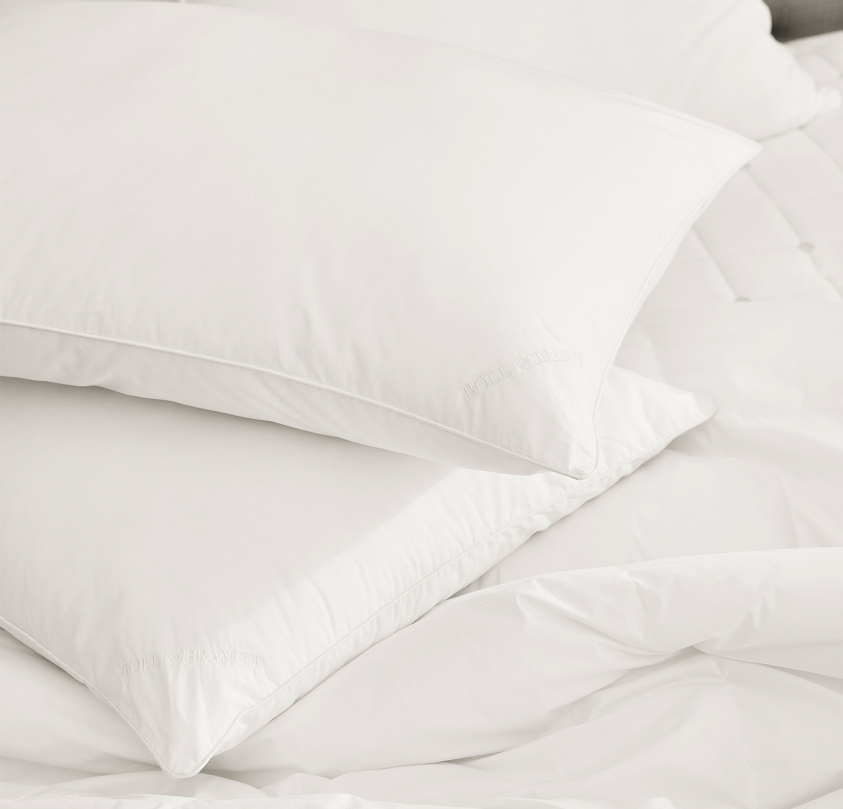 Pillow Insert | Boll & Branch