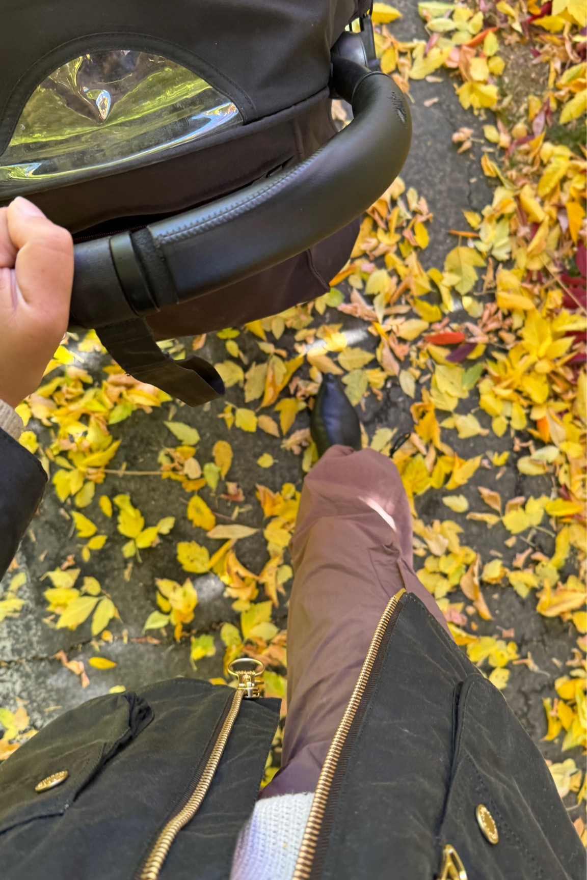 🖤🤎 Barbour jacket, Saks Potts cargo pants, Everlane boots 

#LTKSeasonal
