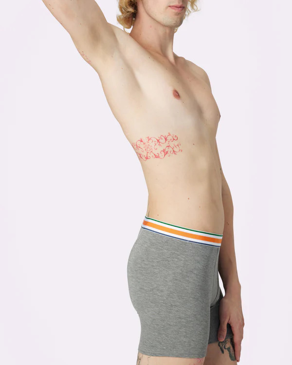 Free Comfort Boxer Brief | New:Cotton (Thunder) | Parade