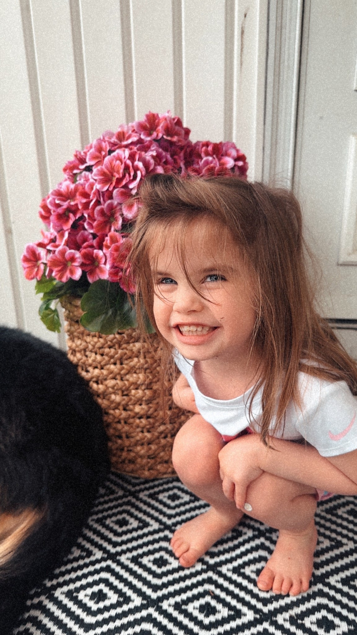 Front porch is slowly getting ready for spring and summer!

#LTKSeasonal #LTKHome #LTKStyleTip