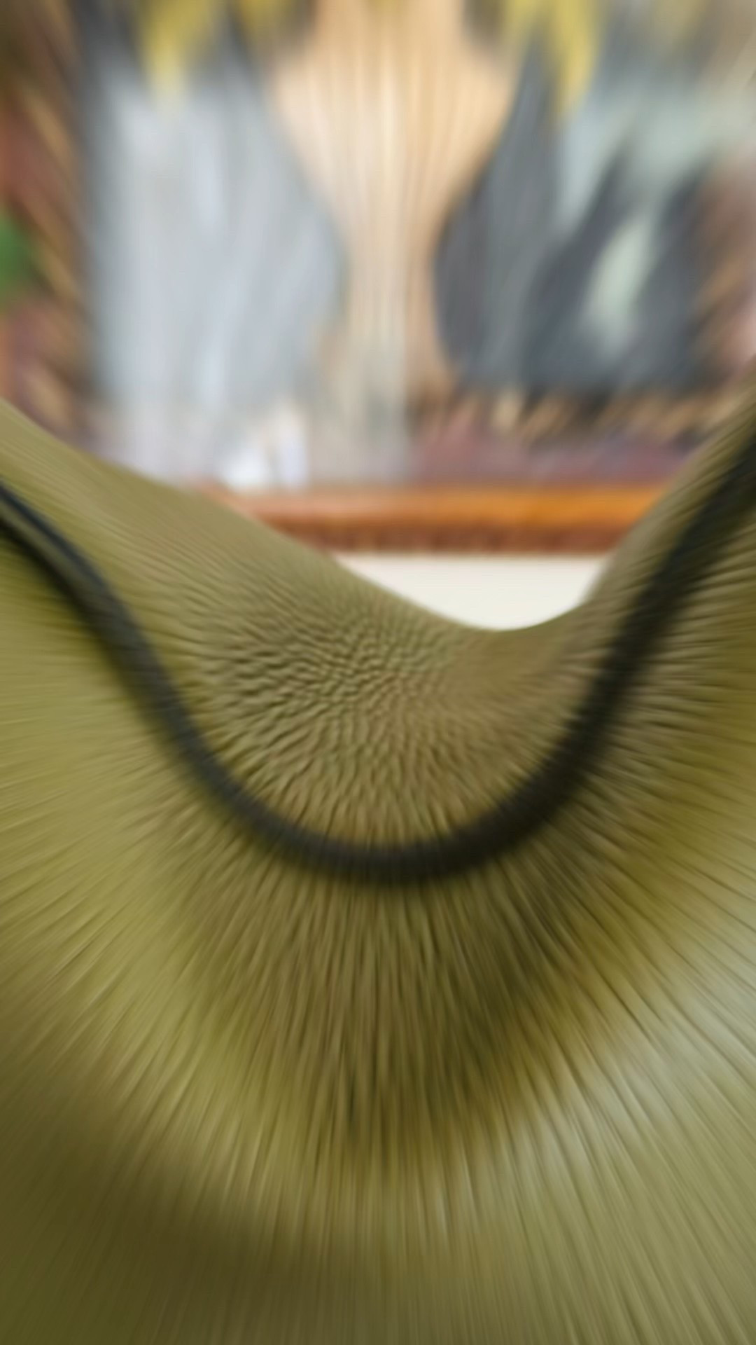 Bags I Used Last Week! The Horse Clementine, Coach Brooklyn 34 Shoulder Bag, Telfar Shmedium Shopper & Coach Empire 28!! 😍😍

#LTKStyleTip #LTKItBag