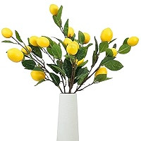 Artificial Fruit Branches Artificial Apple Highly Simulation Lifelike Model for Vase Home Party D... | Amazon (US)