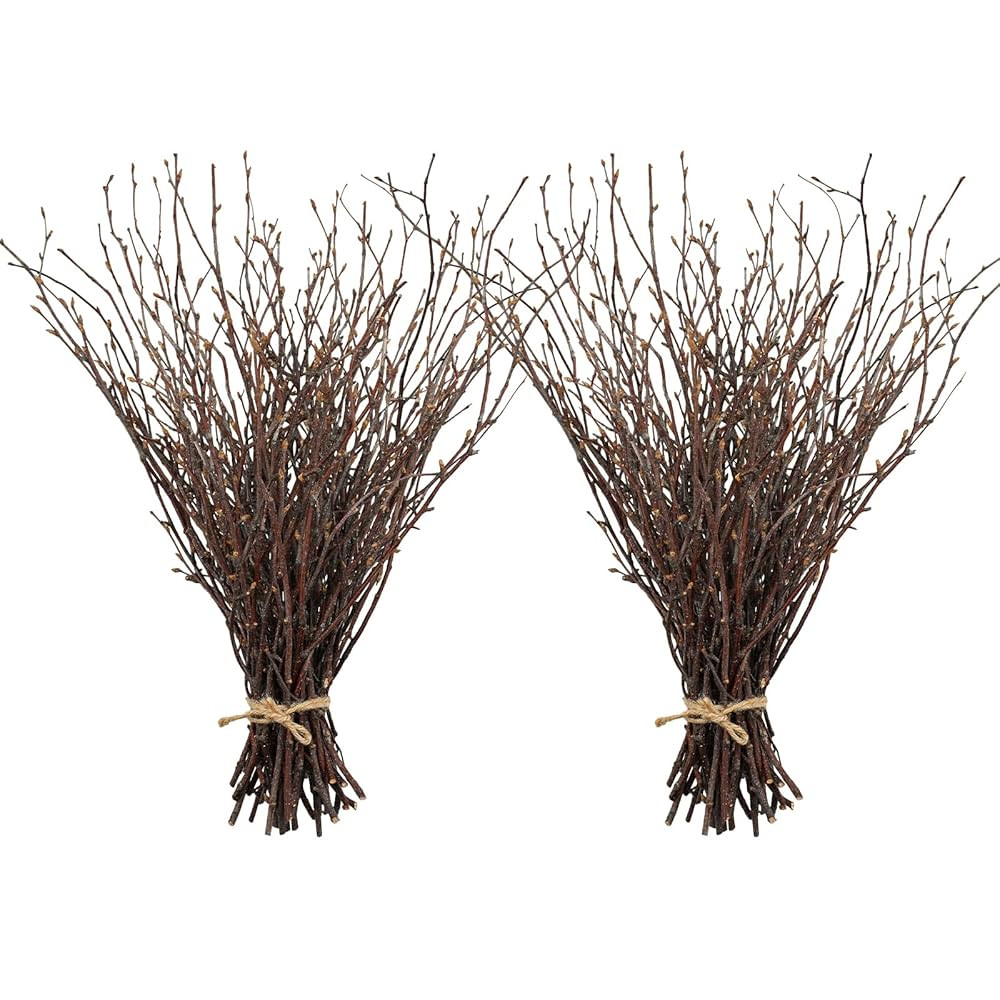 Uieke 100PCS Natural Dried Birch Twigs - 17 Inch Dried Plants Decorative Branches for DIY Crafts,... | Amazon (US)