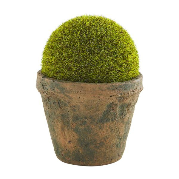 Small Moss Pot | Mud Pie