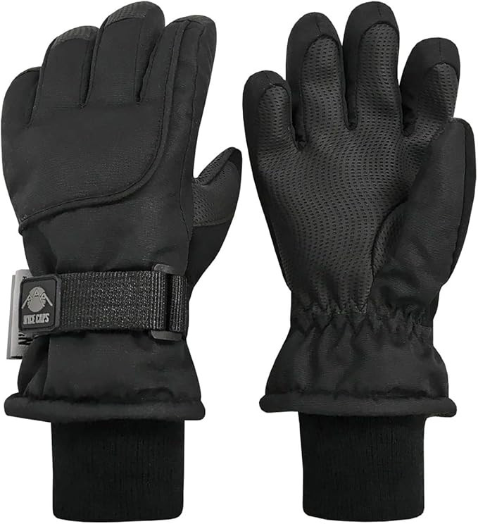 N'Ice Caps Men Women Gloves Waterproof Snow 100 Gram Thinsulate Winter Extreme Cold Weather | Amazon (US)