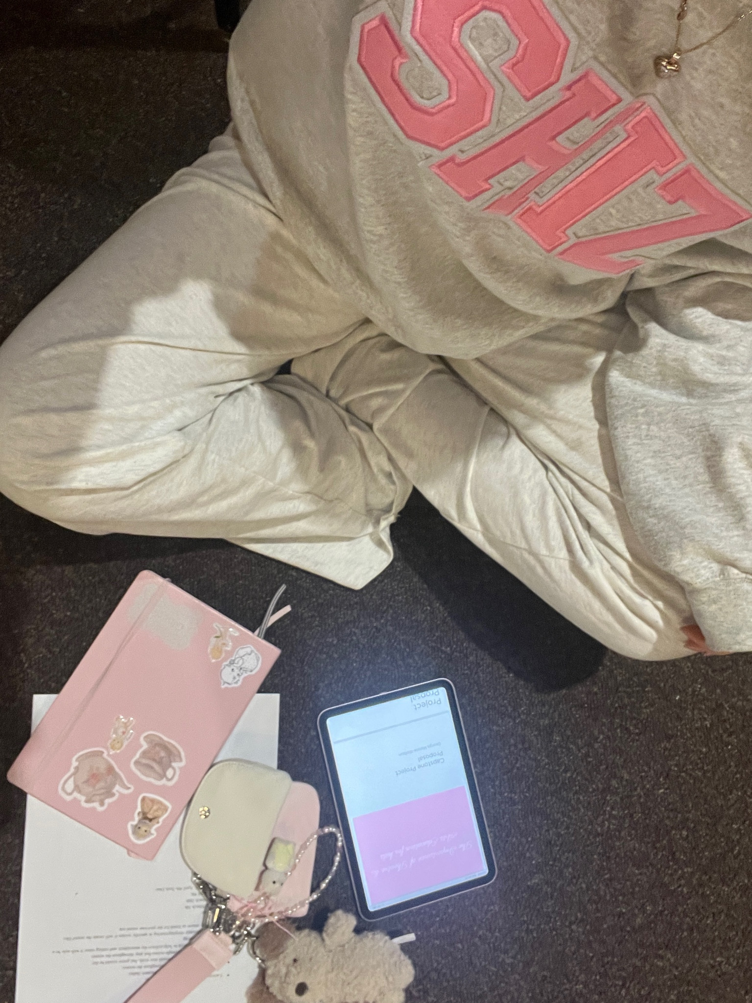 SHIZ wicked sweatshirt 🥹🫧🎀 

#LTKGiftGuide