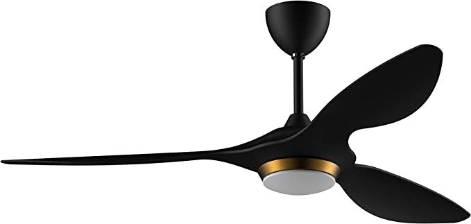 reiga 52-in Ceiling Fan with LED Light Kit Remote Control Modern Blades Reversible Motor, 6-speed... | Amazon (US)