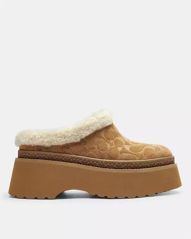 Cecelia Clog In Signature Suede | Coach (US)