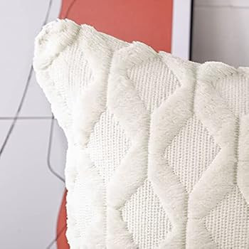 MADIZZ Pack of 2 Soft Plush Short Wool Velvet Decorative Throw Pillow Covers Luxury Style Cushion... | Amazon (US)