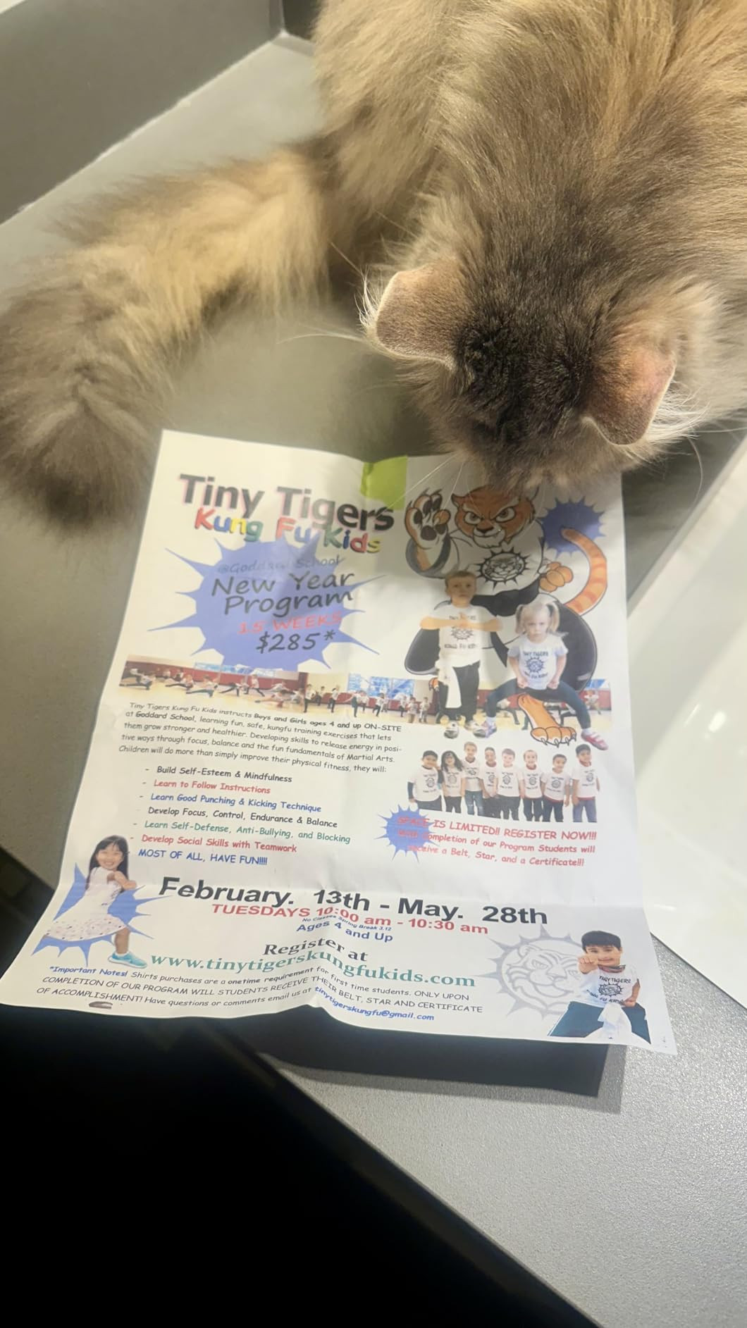 Athlisan Womens Cropped Puffer Vest Zip Up Stand Collar Lightweight Sleeveless Padded Gilet with ... | Amazon (US)