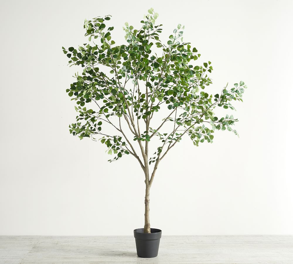 Faux Shady Lady Olive Tree, XXl, 9' | Pottery Barn (US)